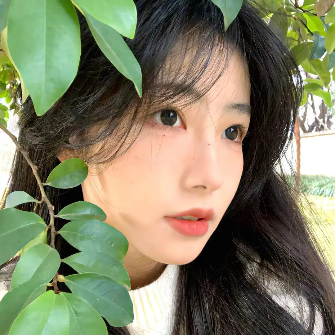 明年此时